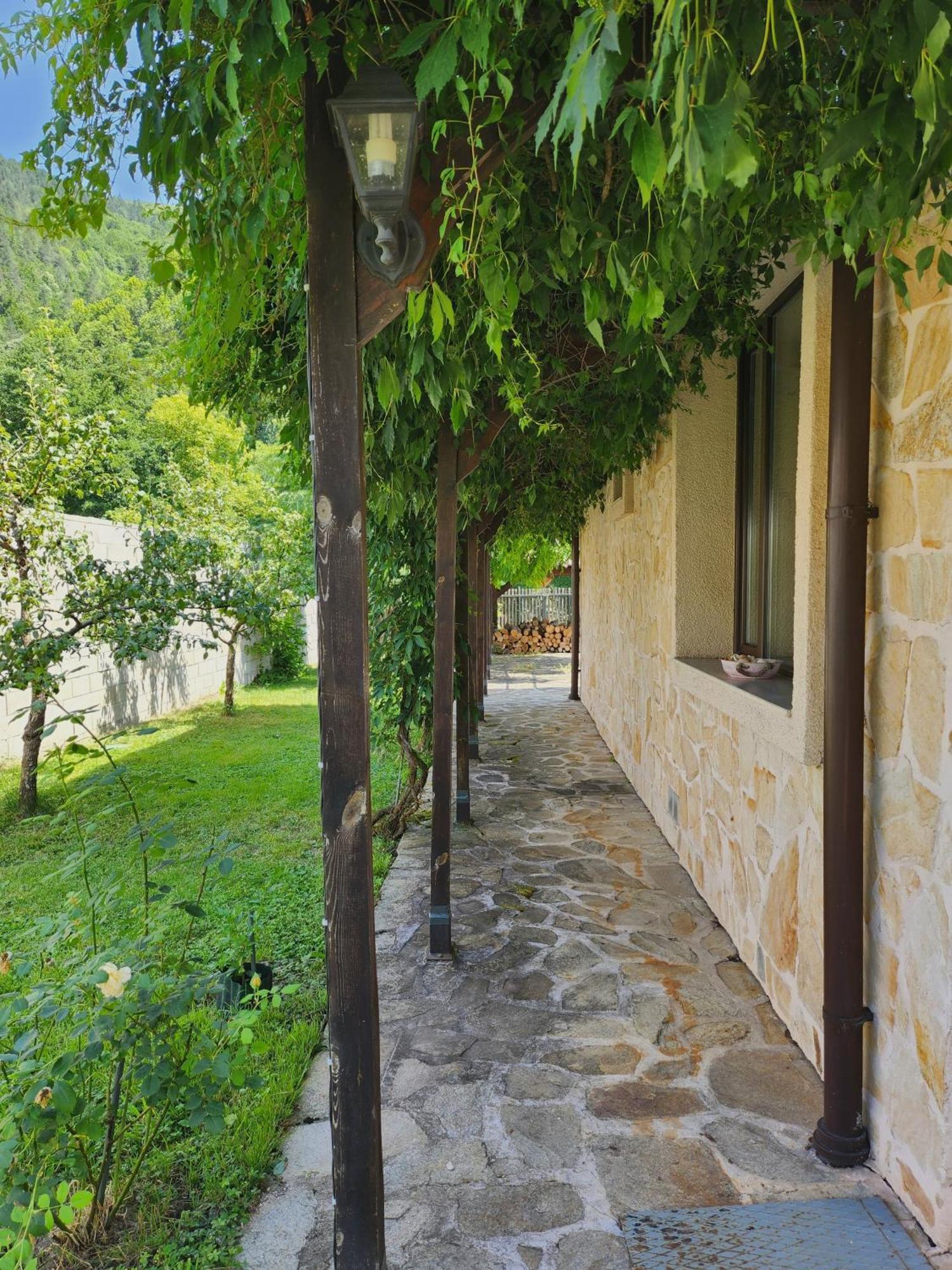 Eco Residence Ribaritsa Exterior foto